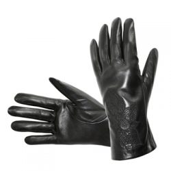Ladies Fashion Gloves